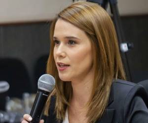 El Consejo Nacional Electoral oficializó la incorporación de Aixa Zelaya y Eduardo Fuentes como consejeros interinos.