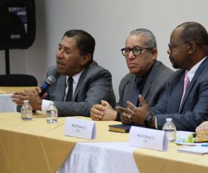 Funcionarios del pleno del órgano apuntaron que se mantienen en una fase de espera positiva, mientras se define si se llevará a cabo este proceso que podría esclarecer la administración de Raquel Obando, y si el caso lo señala, determinar eventuales responsabilidades.