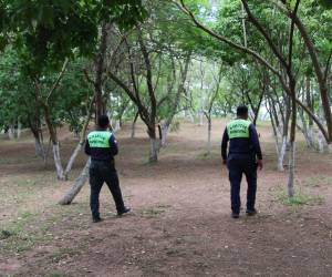 La Gerencia del Centro Histórico informó que alrededor de 11 espacios públicos fueron recuperados en el centro y alrededores de la ciudad. Uno de ellos el el Cerro de la Felicidad.