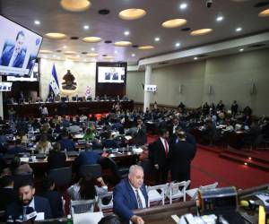 El pleno del Congreso Nacional tendrá que votar para realizar las reformas electorales.