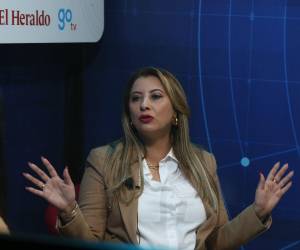 Durante su conversación en el programa Hablemos de Política, Seham habló de sus proyectos.