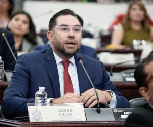 El jefe de la bancada del Partido Liberal, Jorge Cálix.