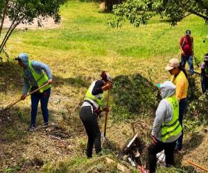 Además del retiro de residuos sólidos, las cuadrillas acondicionaron zonas verdes con el propósito de reducir focos de contaminación y la proliferación de plagas.