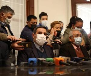 Este jueves, el ministro también desestimó que el origen pueda ser el hantavirus o la legionella.