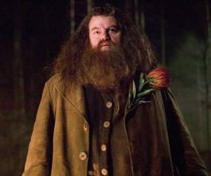 Nacido en Rutherglen, cerca de Glasgow, Escocia, el actor era adorado por niños y mayores de todo el mundo por su interpretación del personaje de Rubeus Hagrid.
