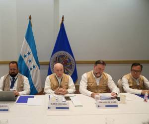 La MOE/OEA constató que todos los actores desean un proceso libre, justo, transparente y confiable.