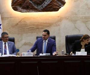 Los excandidatos deberán justificar con documentación de soporte los ingresos y egresos de sus campañas.