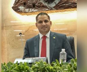 Jhosy Toscano presentó un proyecto de ley que busca despenalizar los delitos contra el honor.