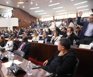 La bancada del Partido Liberal en el Congreso Nacional está conformada por 41 diputados.