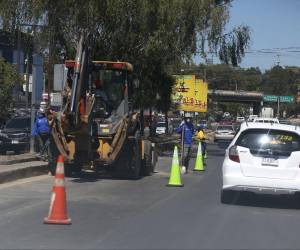Las acciones contemplan limpieza de medianas, retiro de desechos y estudios viales para optimizar la circulación vehicular.