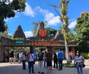 El zoológico La Aurora promete una experiencia educativa y transformadora. Se encuentra en el centro de la Ciudad de Guatemala.