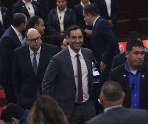 Autoridades de la ENEE, CREE y la Secretaría de Finanzas participaron en la sesión legislativa en la que se leyó el dictamen de las reformas eléctrica y que fue rechazado por la bancada de Libre.