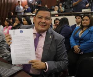 El procedimiento parlamentario contempla remitir el proyecto de ley a la Comisión de Asuntos Jurídicos de la Cámara Legislativa.
