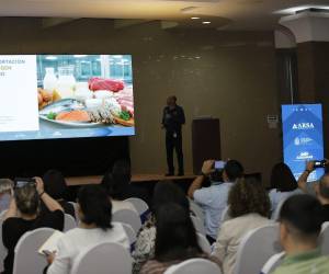 Los participantes conocieron sobre los mecanismos que cada una de las instituciones estatales realiza en la importación de productos.