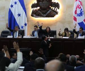 Las bancadas del Congreso Nacional deberán tener la voluntad política para apoyar las reformas electorales.