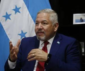 Enrique Reina, excanciller de la República.