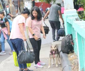La Semana Santa mueve a cientos de capitalinos que viajan a sus pueblos o destinos turísticos, mientras otros disfrutan actividades religiosas en zonas cercanas.