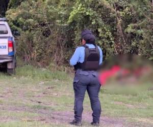 Hasta el momento se desconoce el móvil del crimen y no se han reportado capturas relacionadas con este caso.