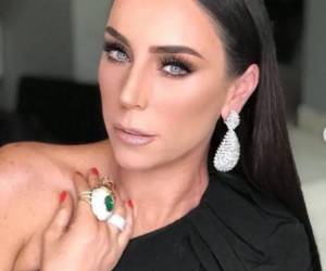 Álvarez Puga, quien fue detenido en Estados Unidos, y Gómez Mont, expresentadora de televisión en México, cuentan con órdenes de aprehensión por presuntos delitos de peculado o malversación de fondos.