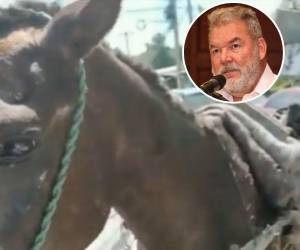 Contreras se mostró indignado al ver la situación en la que vivía el caballo.