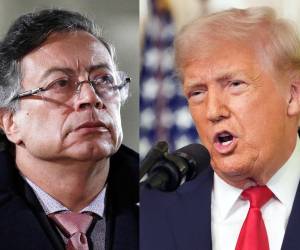 El pronunciamiento de Petro se produce después de que el sábado un hombre armado intentara irrumpir en la cena anual de la Asociación de Corresponsales de la Casa Blanca.