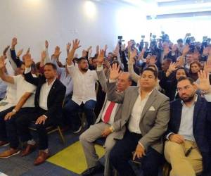 Los legisladores de la oposición exhortaron a los representantes de Libre en los órganos electorales evitar realizar cualquier obstrucción al proceso aún en curso.