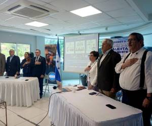 La propuesta fue elaborada técnicamente por la abogada Ruth Lafosse y su equipo.