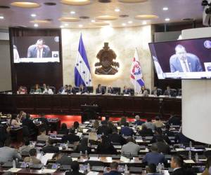 La comisión determinó emitir un dictamen desfavorable tras revisar las opiniones técnicas de las instituciones consultadas.