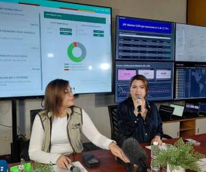 El CNE habilitará un acceso alterno para el monitoreo de actas mientras resuelve la caída del portal de resultados preliminares.