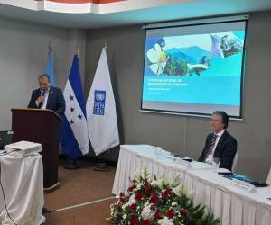 El ministro de Recursos Naturales y Ambiente (Serna), Juan Carlos Ramos, presentó la Estrategia de Biodiversidad Nacional.