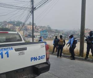 Los departamentos donde se desarrollan acciones son Francisco Morazán, Copán y Atlántida.