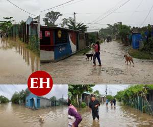 Varios pobladores de Choloma, Cortés amanecieron completamente inundados la mañana de este domingo 9 de Octubre a causa de los efectos de la tormenta Julia. El río Bijao del mismo municipio arrastró a una mujer de 22 años y tras una búsqueda por parte de los bomberos fue encontrado su cuerpo sin vida. Además, pobladores tuvieron que desplazarse de los lugares de riesgo. A continuación te mostramos las imágenes.