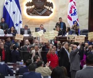 Diputados de Libre protestan con pancartas y pitos en el Congreso Nacional.
