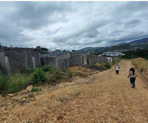 Aunque la AMDC aseguró que entregaría viviendas en diciembre, Villa Solidaridad continúa entre maleza y sin avances visibles en la salida a Olancho.