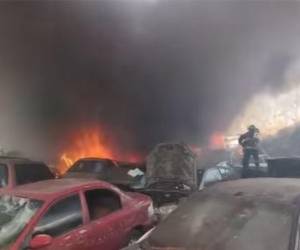 Elementos del Cuerpo de Bomberos acudieron al lugar para controlar las llamas y evitar que el fuego se propagara a áreas cercanas.