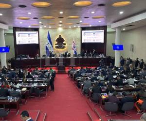 La disputa está en conseguir los 86 votos que se necesitan para nombran las nuevas autoridades en el CNE y TJE.