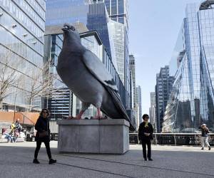 Nueva York despide con una fiesta este 21 de marzo a su paloma favorita, 'Dinosaur', la escultura hiperrealista de un ave de seis metros de altura que ha transformado el paisaje urbano del High Line de Manhattan.