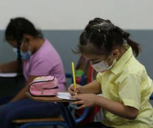 Más de 490 mil niños en todo el país quedaron fuera del año lectivo 2022 por pobreza, deserción escolar o migración irregular.
