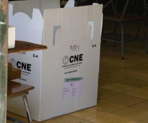 Las OEA manifestó preocupación e instó a que se lleven a cabo las elecciones del 30 de noviembre en la fecha establecida.