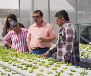 Los productores de Sabanagrande implementan tecnologías para producir debido a la variabilidad climática que impera en el sector y a nivel nacional.