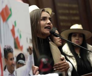 El Congreso estatal aprobó su nombramiento con amplia mayoría.