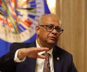 El secretario general de la Organización de los Estados Americanos (OEA), Albert R. Ramdin.