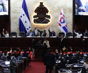 El Congreso Nacional aprobó la Ley de Fortalecimiento y Protección al Sector Agroindustrial y el pasado 26 de junio fue publicada en el Diario Oficial La Gaceta.