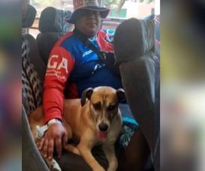 La afición del Club Olimpia Deportivo está de luto tras confirmarse la muerte de “Kalimán”, un perro que se ganó el cariño de seguidores del fútbol hondureño por acompañar fielmente a su dueño a los estadios dentro y fuera del país.