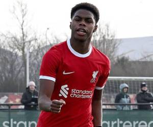 Liverpool analiza su futuro y está dispuesto a escuchar propuestas para que el delantero salga cedido.
