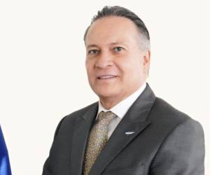 El subsecretario de Desarrollo Empresarial y Comercio Interior, Fernando Fortín.