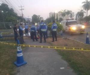 Los agentes de la Dirección Policial de Investigaciones (DPI) acordonaron la zona del accidente. También se trasladaron hasta el lugar del percance vial, agentes de la Dirección Nacional de Vialidad y Transporte (DNVT).