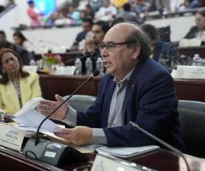 El diputado de Libre, Melvin Martínez, presentó el proyecto de ley.