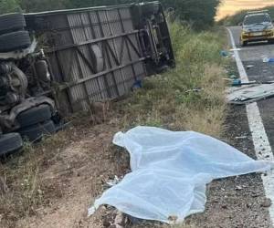 Siete baloncestistas fallecen al volcarse el autobús en que viajaban por Brasil.