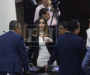 El Congreso Nacional pidió al Partido Liberal presentar con mayor rapidez su contrapropuesta a la reforma eléctrica.